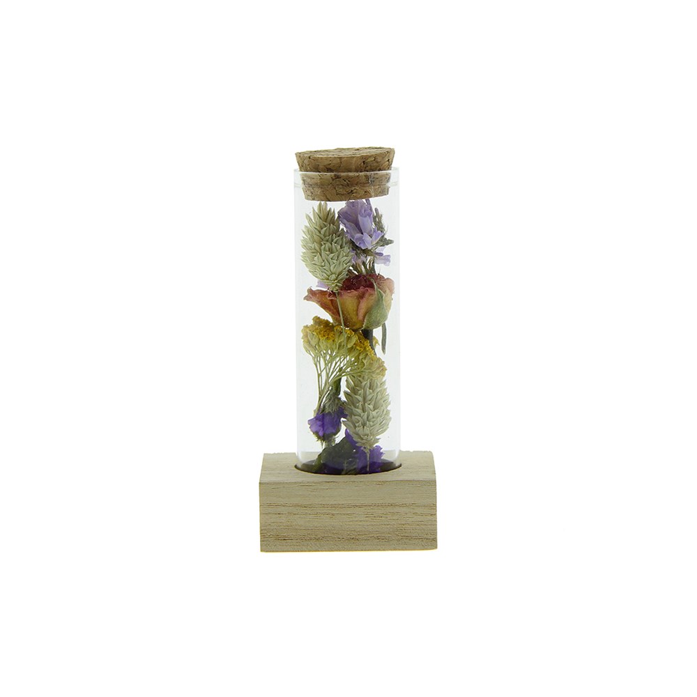Dried Flowers - Single tube & wood - Multicolor