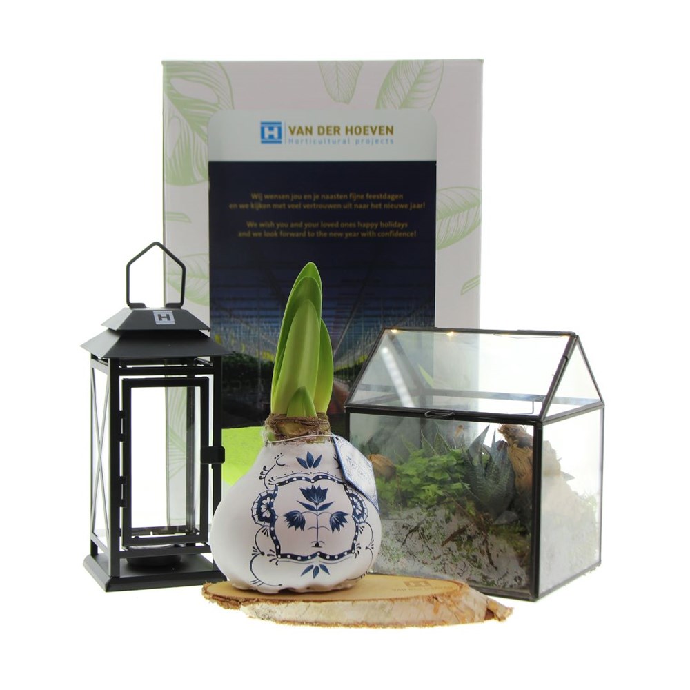 Groene geschenkbox