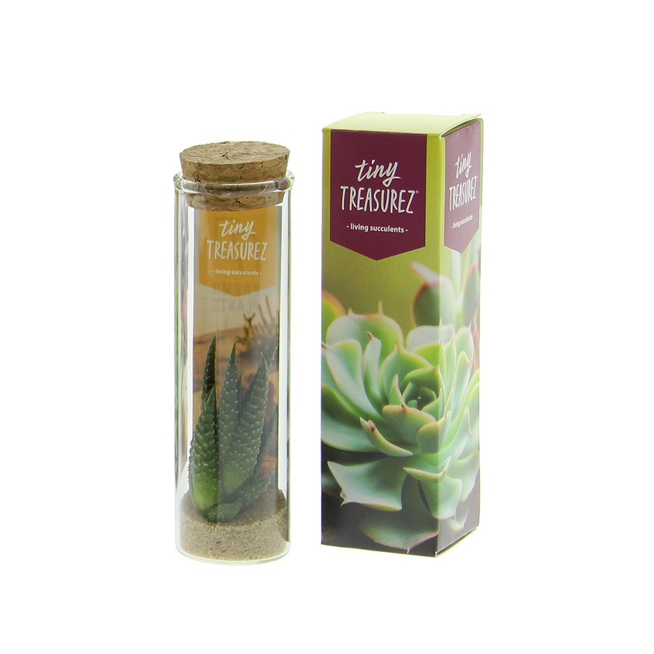 Tiny Treasurez® - Message in a bottle small, In giftbox, Donker roze