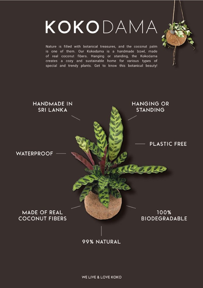 Kokodama® - Green mix (S), In giftbox