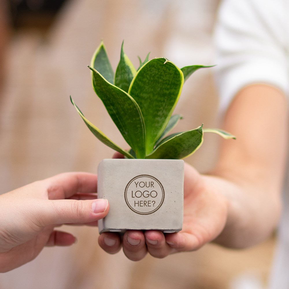 Congreet® plantpots small, Zonder verpakking
