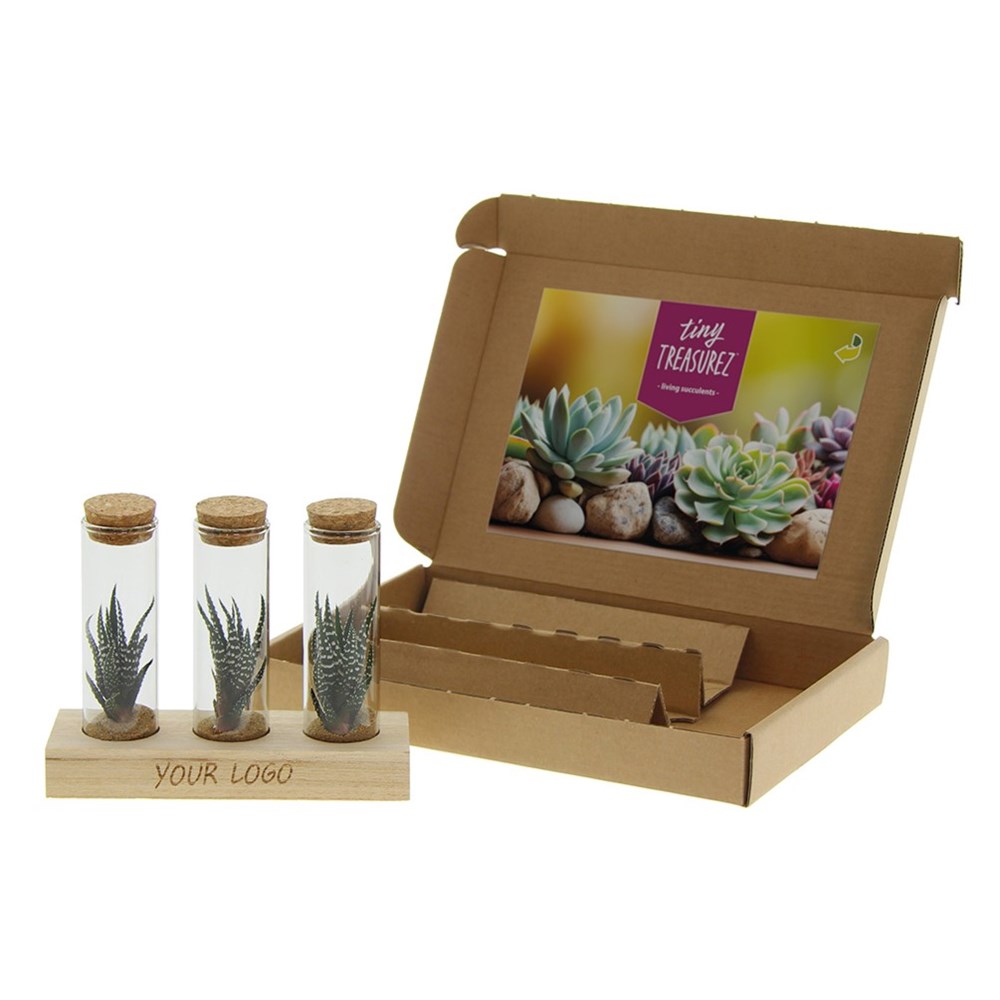 Tiny Treasurez® - Trio tube & wood
