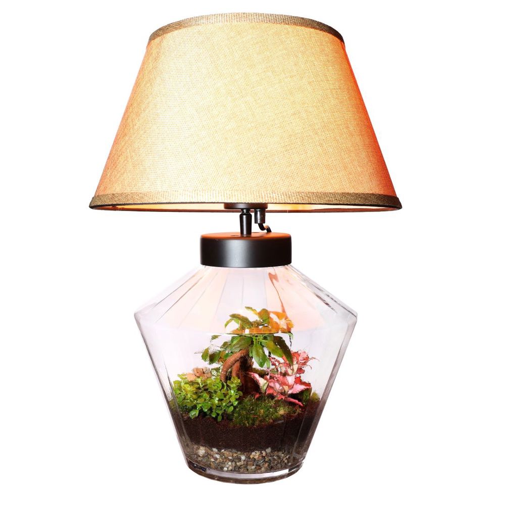 Wardians® Ecosystem - Lampshade