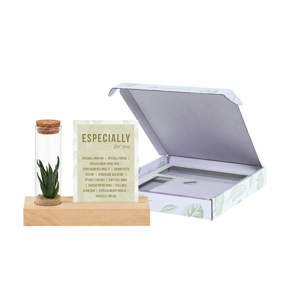 Dried Flowers - Cardholder & tube