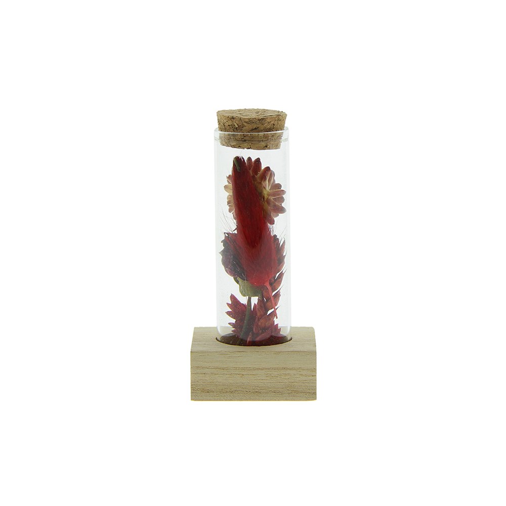 Dried Flowers - Single tube & wood - Rood