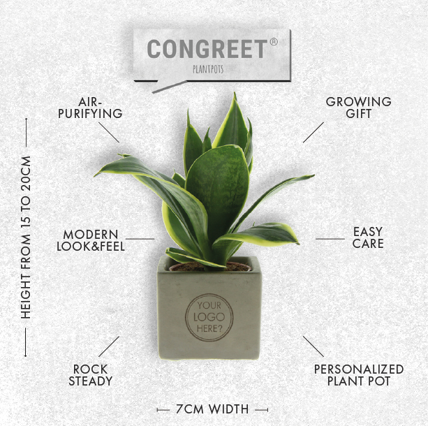 Congreet® plantpots small, Zonder verpakking