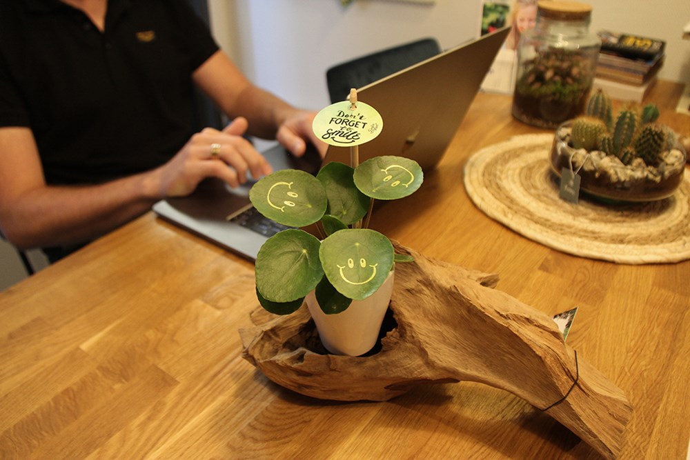 Smylieplant® Happy in keramieke pot (small), In beschermende plantensleeve
