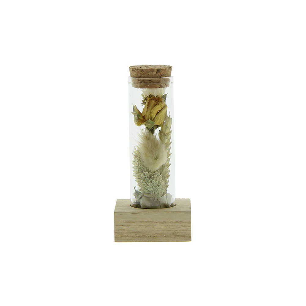 Dried Flowers - Single tube & wood