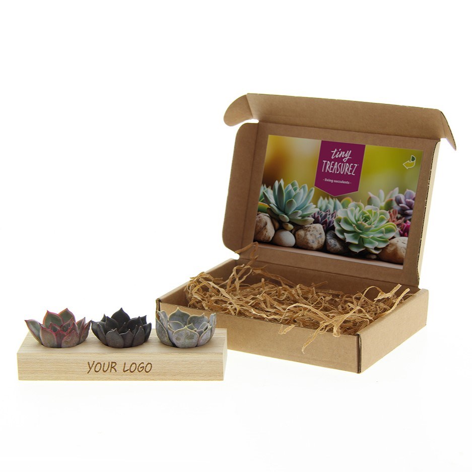 Tiny Treasurez® - Trio wood
