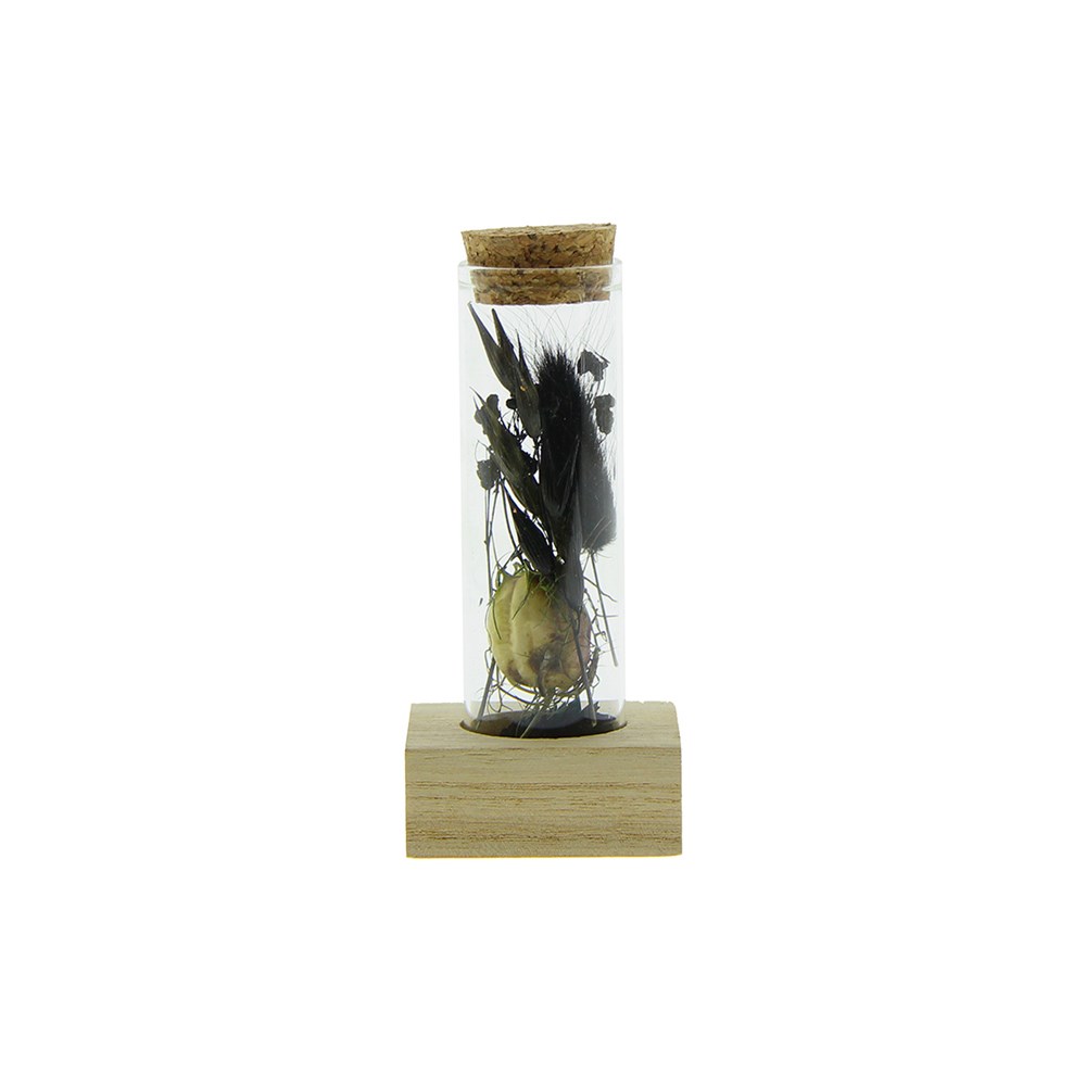 Dried Flowers - Single tube & wood - Zwart